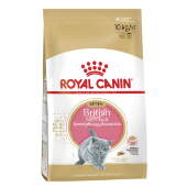 Купить онлайн  ROYAL CANIN KITTEN BRITISH SHORTHAIR - Роял Канин для котят породы Британская короткошерстная в Зубастик-ДВ (интернет-магазин зоотоваров) с доставкой по Хабаровску и по всей России.