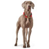 Hunter ошейник для собак Oss 55 см, текстиль, красный - Hunter ошейник для собак Oss 55 см, текстиль, красный