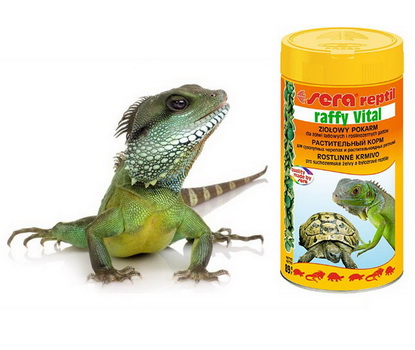 Купить онлайн Корм для рептилий в центральном зоомагазине Зубастик-Дв в Хабаровске и по всей России недорого.