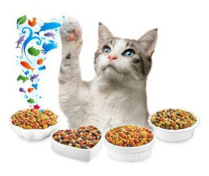 Купить онлайн Корма для кошек в центральном зоомагазине Зубастик-Дв в Хабаровске и по всей России недорого.
