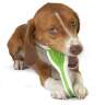 Petstages игрушка для собак Finity Dental Chew зубная щетка 15 см средняя - Petstages игрушка для собак Finity Dental Chew зубная щетка 15 см средняя