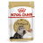  ROYAL CANIN ADULT PERSIAN - Роял Канин для взрослых кошек Персидской породы в паштете - 85гр