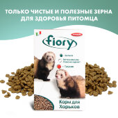 Купить онлайн FIORY корм для хорьков Farby 650 гр в Зубастик-ДВ (интернет-магазин зоотоваров) с доставкой по Хабаровску и по всей России.