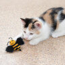 KONG игрушка для кошек Better Buzz Пчела, хрустит, с кошачьей мятой - KONG игрушка для кошек Better Buzz Пчела, хрустит, с кошачьей мятой