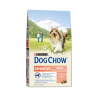 DOG CHOW SENSITIVE — Дог Чау для взрослых собак с чувствительным пищеварением Лосось с рисом - DOG CHOW SENSITIVE — Дог Чау для взрослых собак с чувствительным пищеварением Лосось с рисом