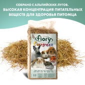 Купить онлайн FIORY сено Evergreen 1 кг (30 л) в Зубастик-ДВ (интернет-магазин зоотоваров) с доставкой по Хабаровску и по всей России.