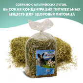 Купить онлайн FIORY сено Альпийское Alpiland Camomile с ромашкой 500 г в Зубастик-ДВ (интернет-магазин зоотоваров) с доставкой по Хабаровску и по всей России.