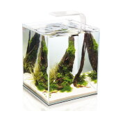 Купить онлайн Аквариум Aquael Shrimp Set Smart Plant II белый на 20 литров в Зубастик-ДВ (интернет-магазин зоотоваров) с доставкой по Хабаровску и по всей России.