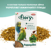 Купить онлайн FIORY корм для волнистых попугаев Pappagallini в Зубастик-ДВ (интернет-магазин зоотоваров) с доставкой по Хабаровску и по всей России.
