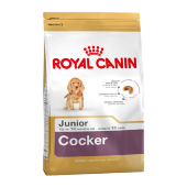 Купить онлайн ROYAL CANIN JUNIOR COCKER для щенков кокер-спаниель - 3кг в Зубастик-ДВ (интернет-магазин зоотоваров) с доставкой по Хабаровску и по всей России.