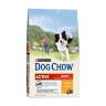 DOG CHOW ACTIVE — Дог Чау для взрослых собак с высоким уровнем активности с курицей - DOG CHOW ACTIVE — Дог Чау для взрослых собак с высоким уровнем активности с курицей
