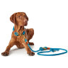 Hunter ошейник для собак Oss 60 см, текстиль, лазурно-синий - Hunter ошейник для собак Oss 60 см, текстиль, лазурно-синий