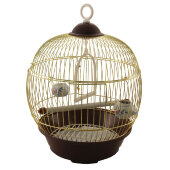 Купить онлайн TRIOL Клетка птицы круглая  d23x37,5 см (23В) в Зубастик-ДВ (интернет-магазин зоотоваров) с доставкой по Хабаровску и по всей России.
