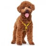 Hunter шлейка для собак Tripoli, нейлон желтая, светоотражающая - Hunter шлейка для собак Tripoli, нейлон желтая, светоотражающая