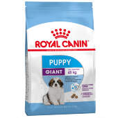 Купить онлайн ROYAL CANIN GIANT PUPPY для щенков крупных пород в Зубастик-ДВ (интернет-магазин зоотоваров) с доставкой по Хабаровску и по всей России.
